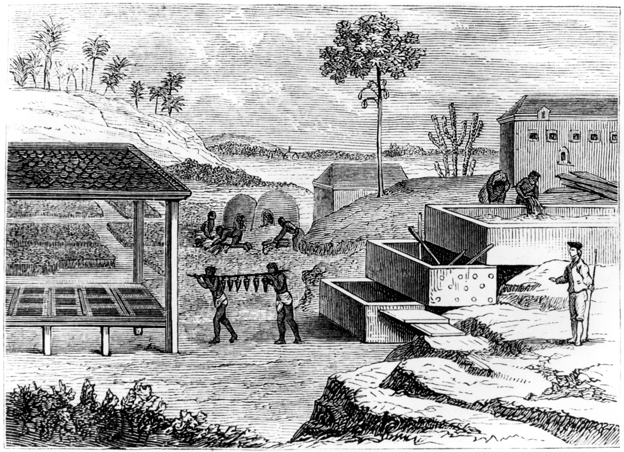 Préparation de l