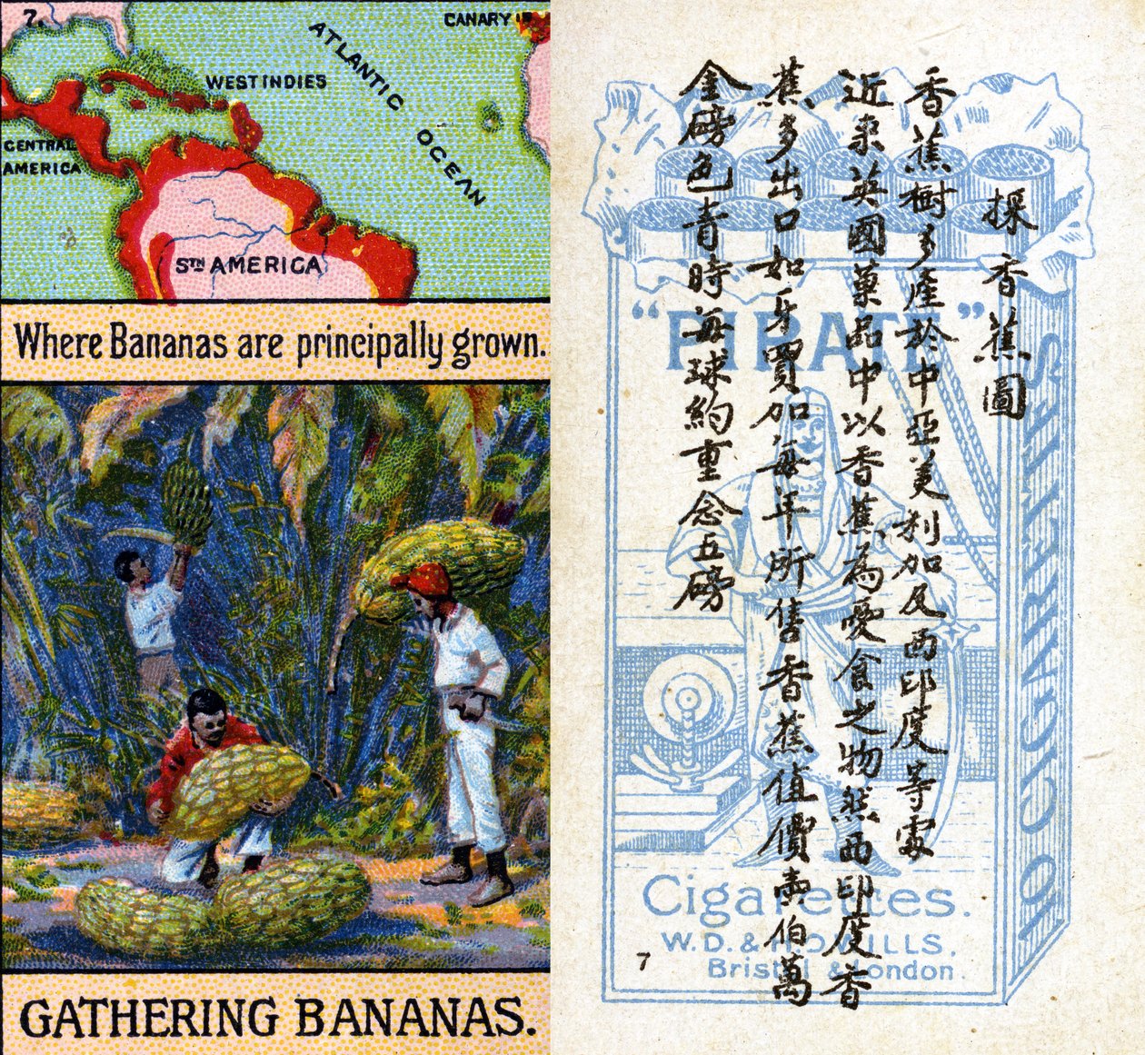 Principales zones de culture des bananes, de la série de cartes de cigarettes 
