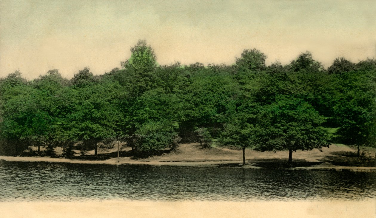 Queensmere, Wimbledon Common, Londres, 1903 - Unbekannt