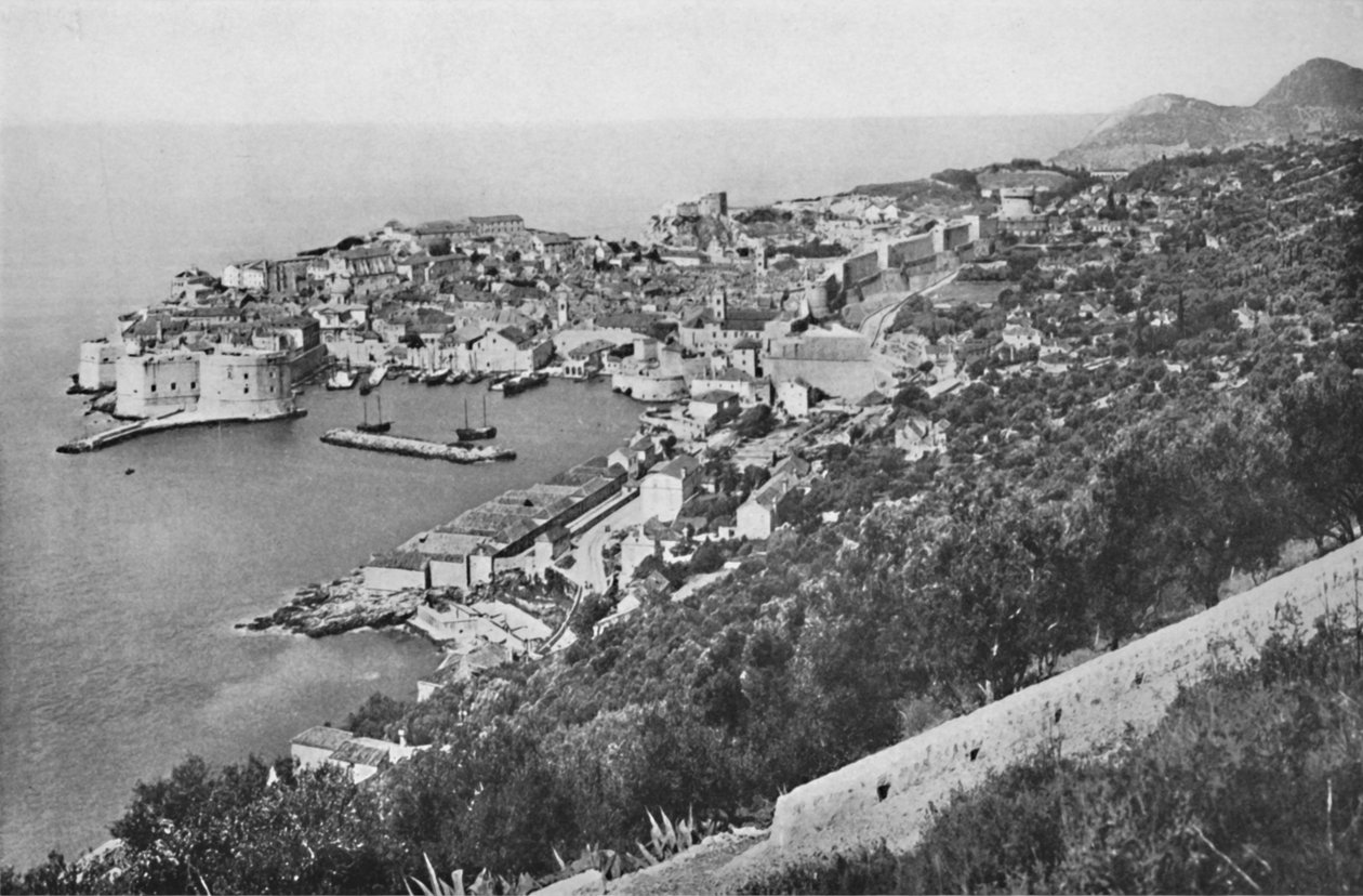 Raguse, 1913 - Unbekannt