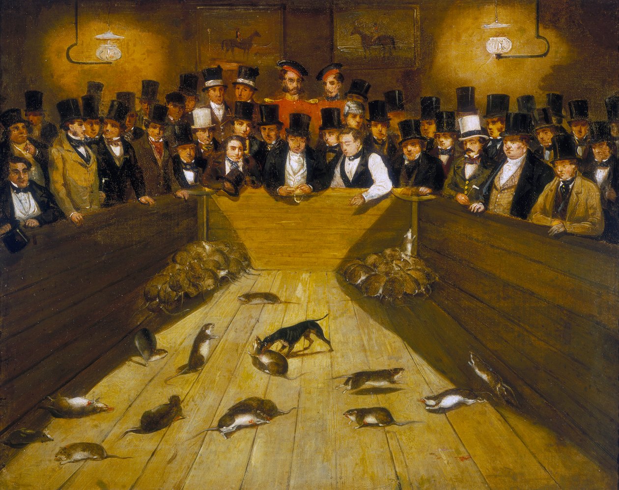 Chasse aux rats à la taverne Blue Anchor, Bunhill Row, Finsbury - Unbekannt