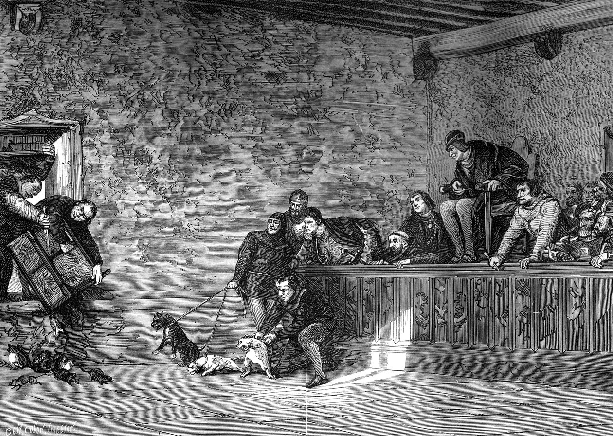 Combat de rats, reconstitution de Louis XI de France, 1461-1483, 1882-1884 - Unbekannt
