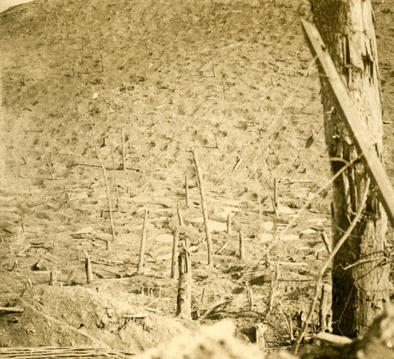 Ravin aux Éparges, nord de la France, vers 1914-1918 - Unbekannt