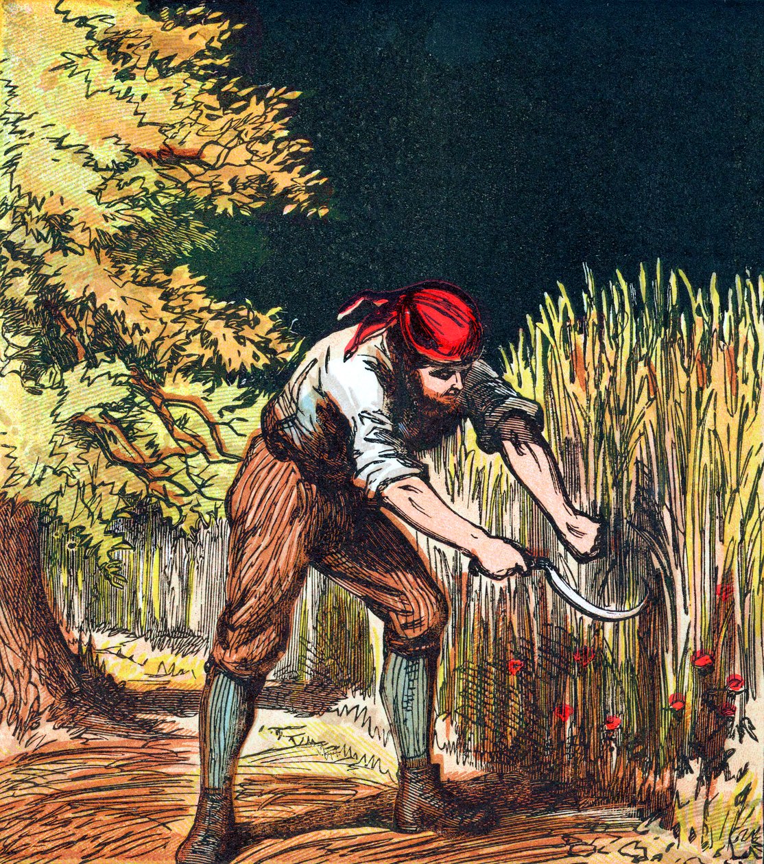 Moissonneur commençant à couper une récolte de blé avec une faucille, 1867 - Unbekannt