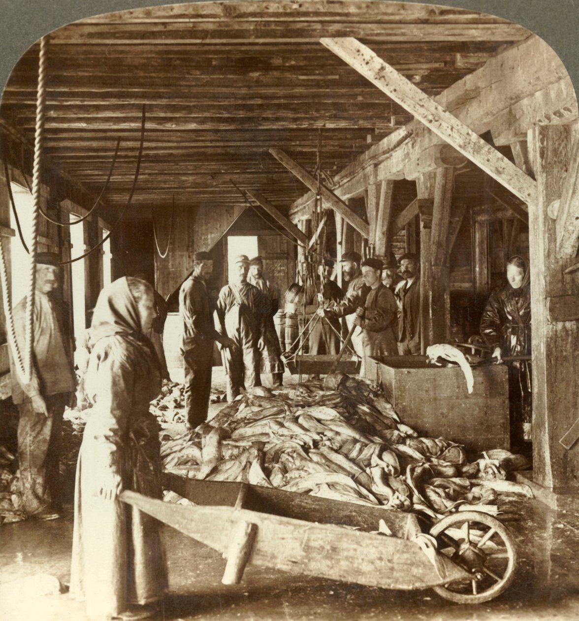 Réception de poissons des navires de mer et emballage pour l
