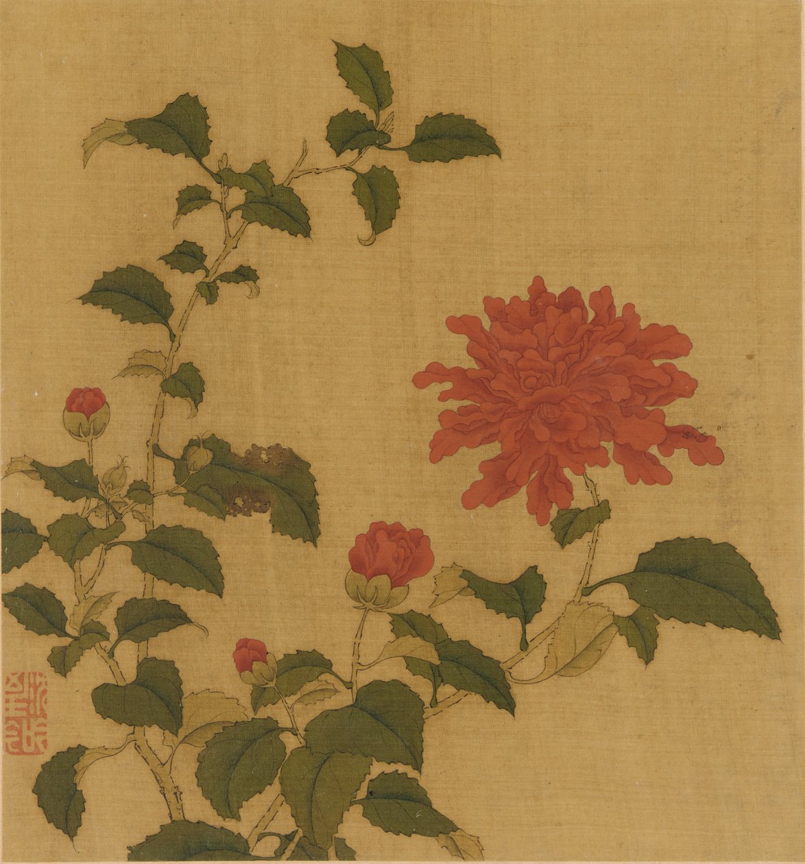 Pivoine rouge, dynastie Qing, 18ème siècle - Unbekannt