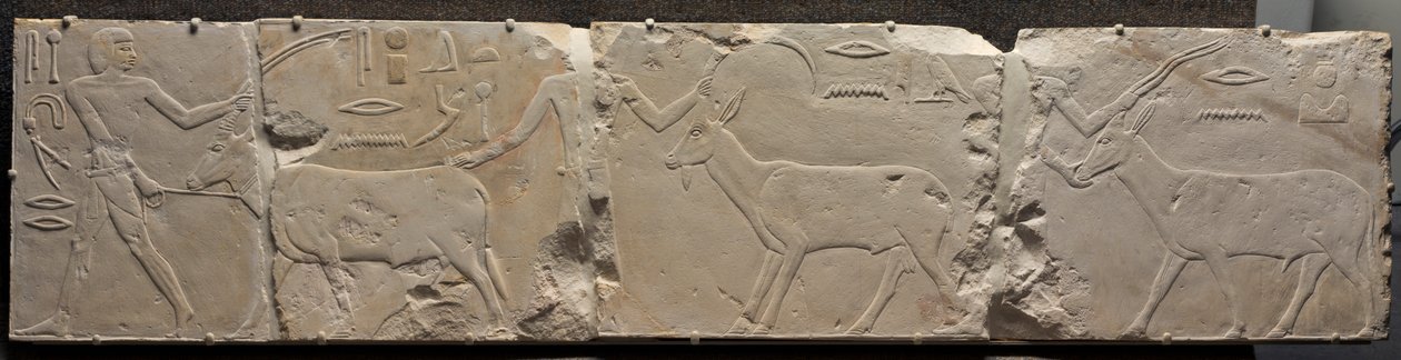 Relief d