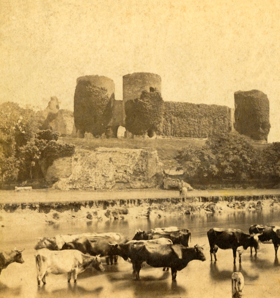 Rhuddlan - Château depuis la rivière - Unbekannt