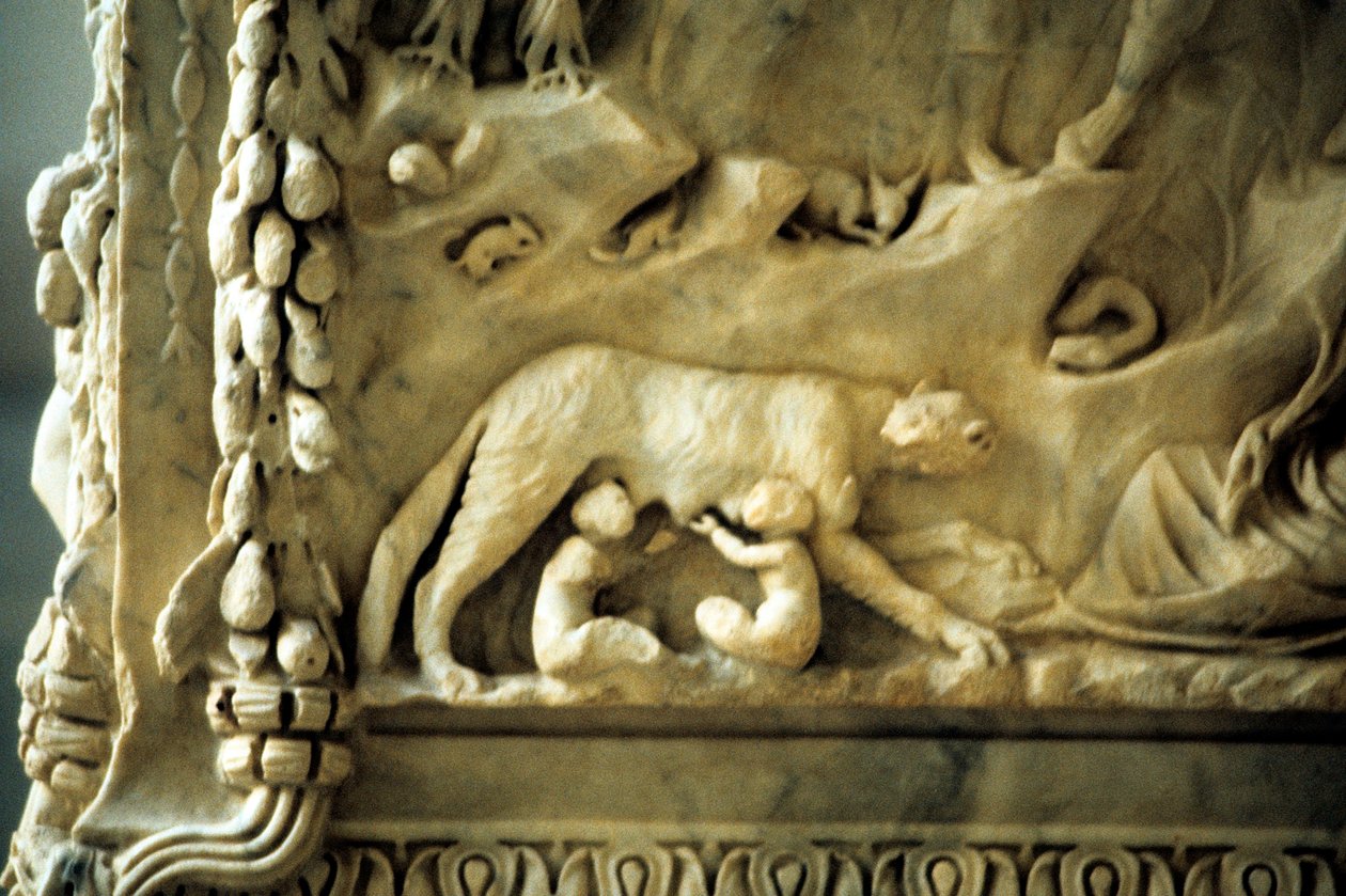 Romulus et Rémus allaités par la louve - Unbekannt