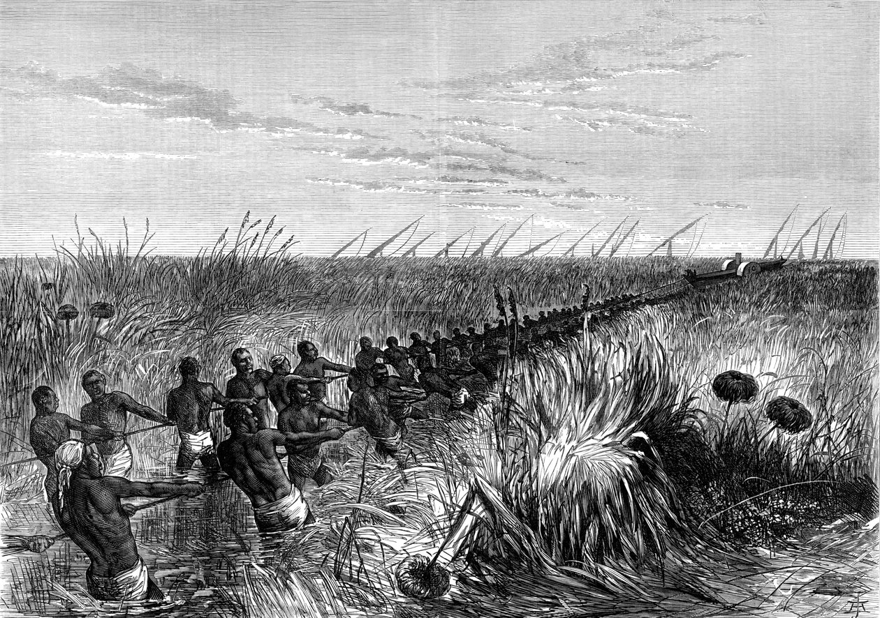 Le bateau de Samuel Baker tiré à travers les herbes de la rivière, 1864 - Unbekannt