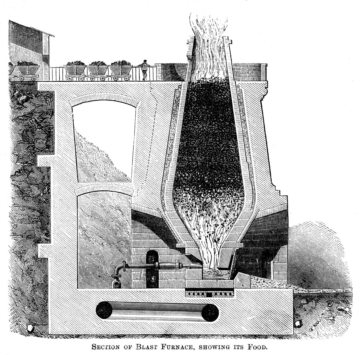 Section d