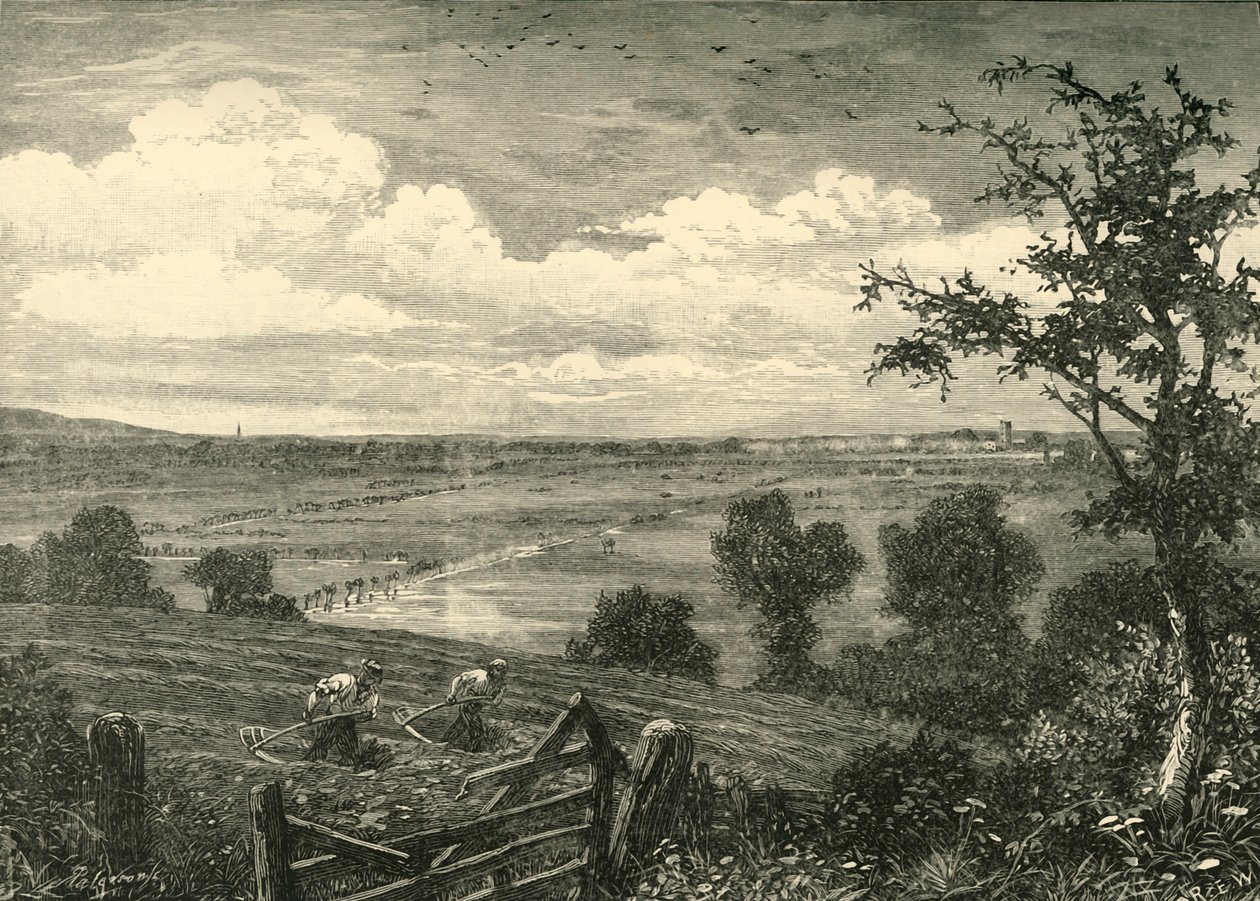 Sedgemoor, depuis Middlezoy, 1898 - Unbekannt
