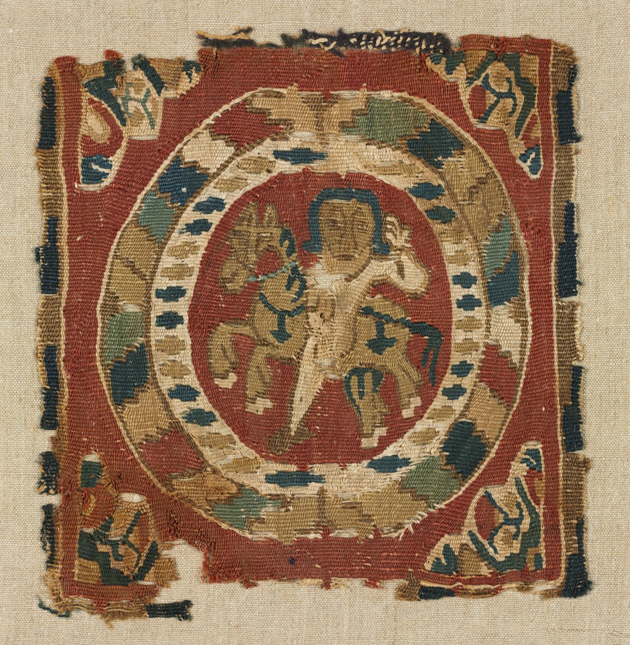 Segmentum d