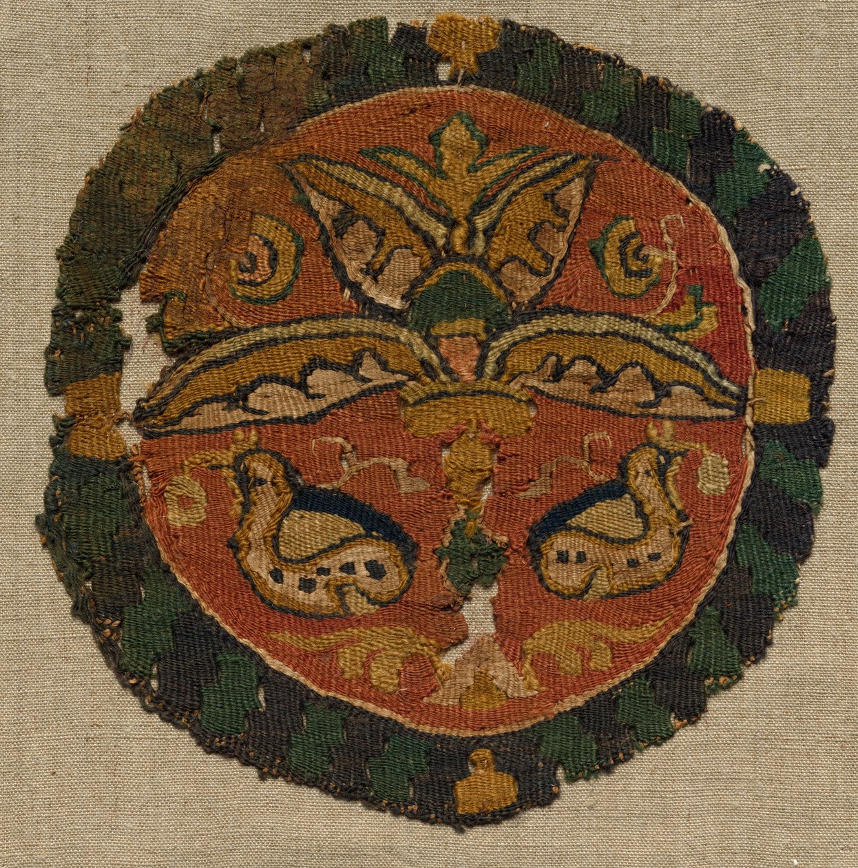 Segmentum d