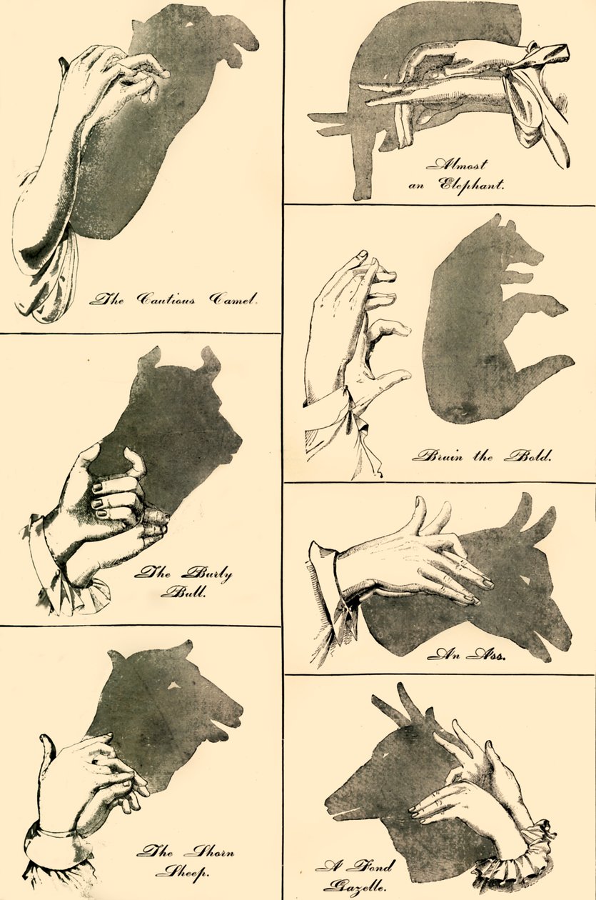Ombres chinoises et silhouettes, 1883 - Unbekannt