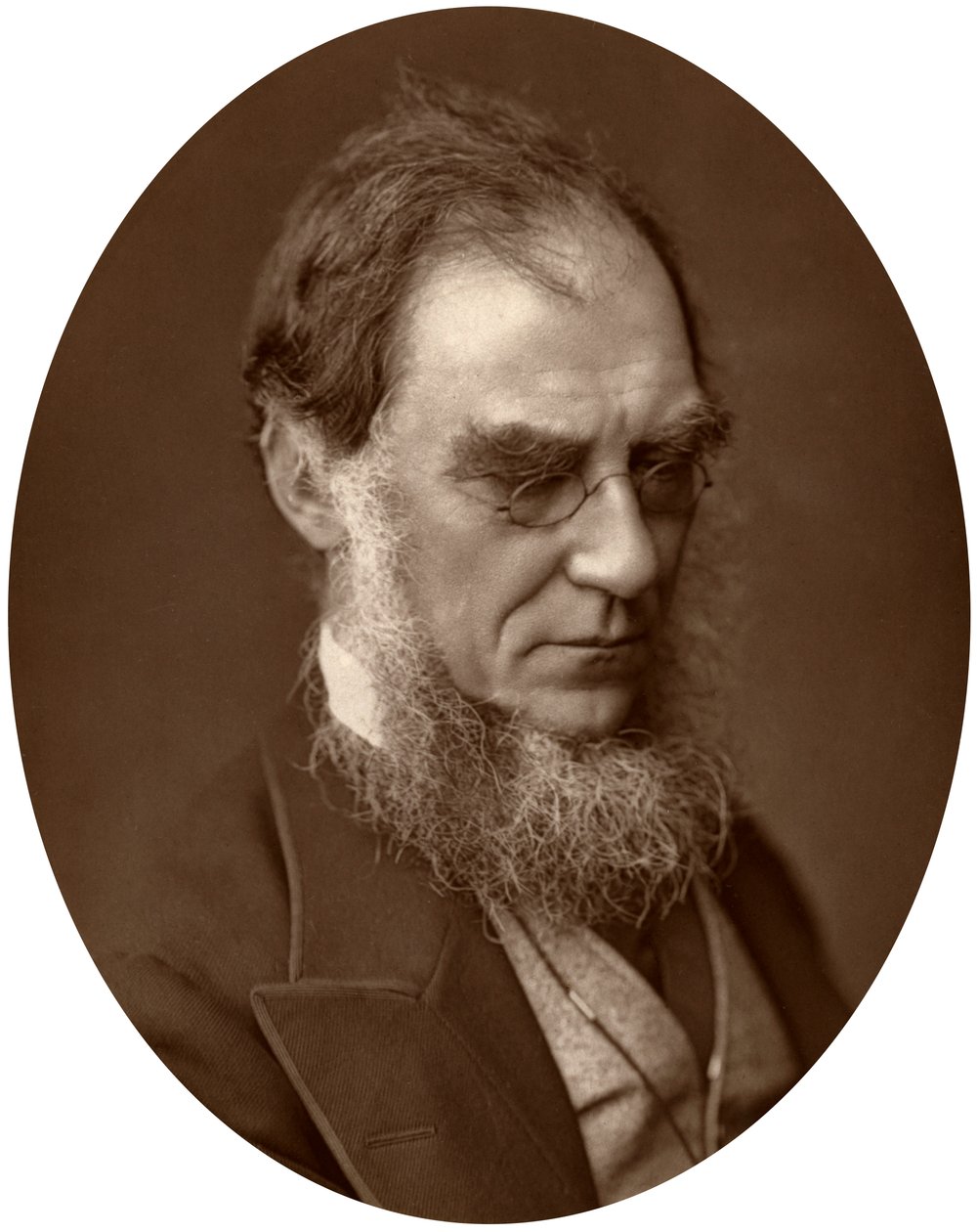 Sir Joseph Dalton Hooker, directeur des jardins royaux de Kew - Unbekannt