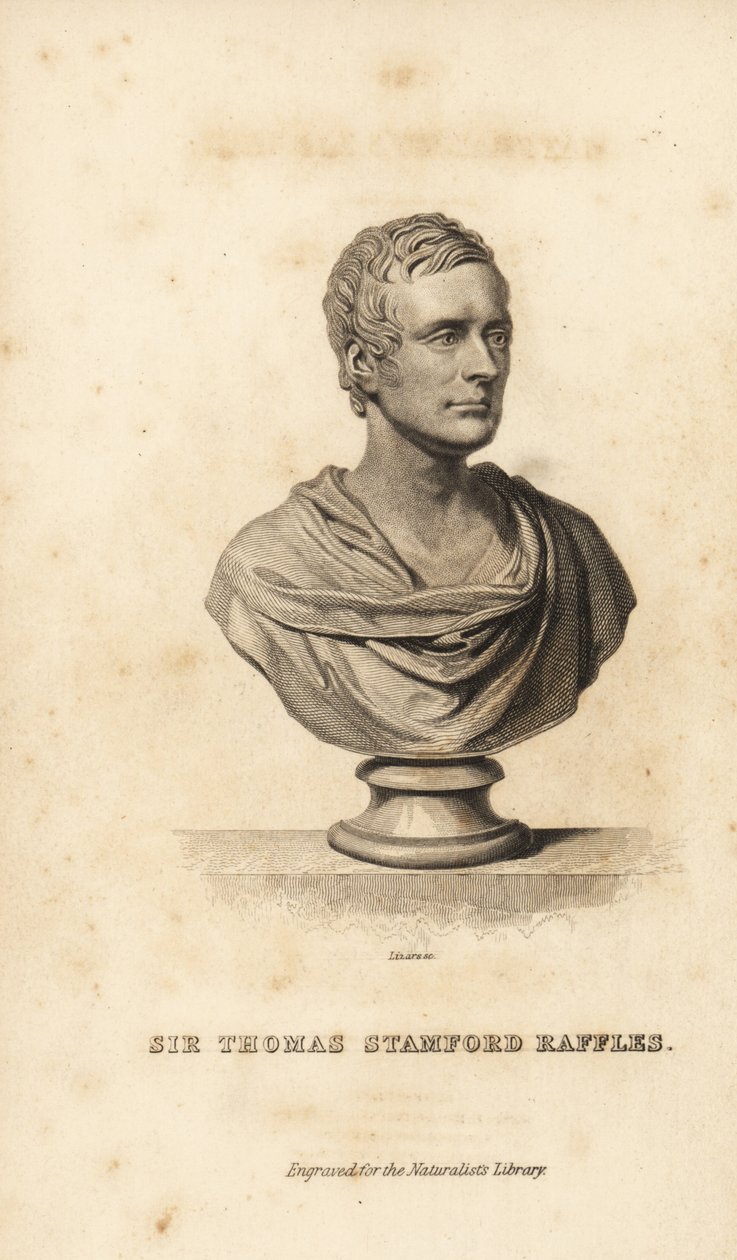 Sir Thomas Stanford Raffles, homme d