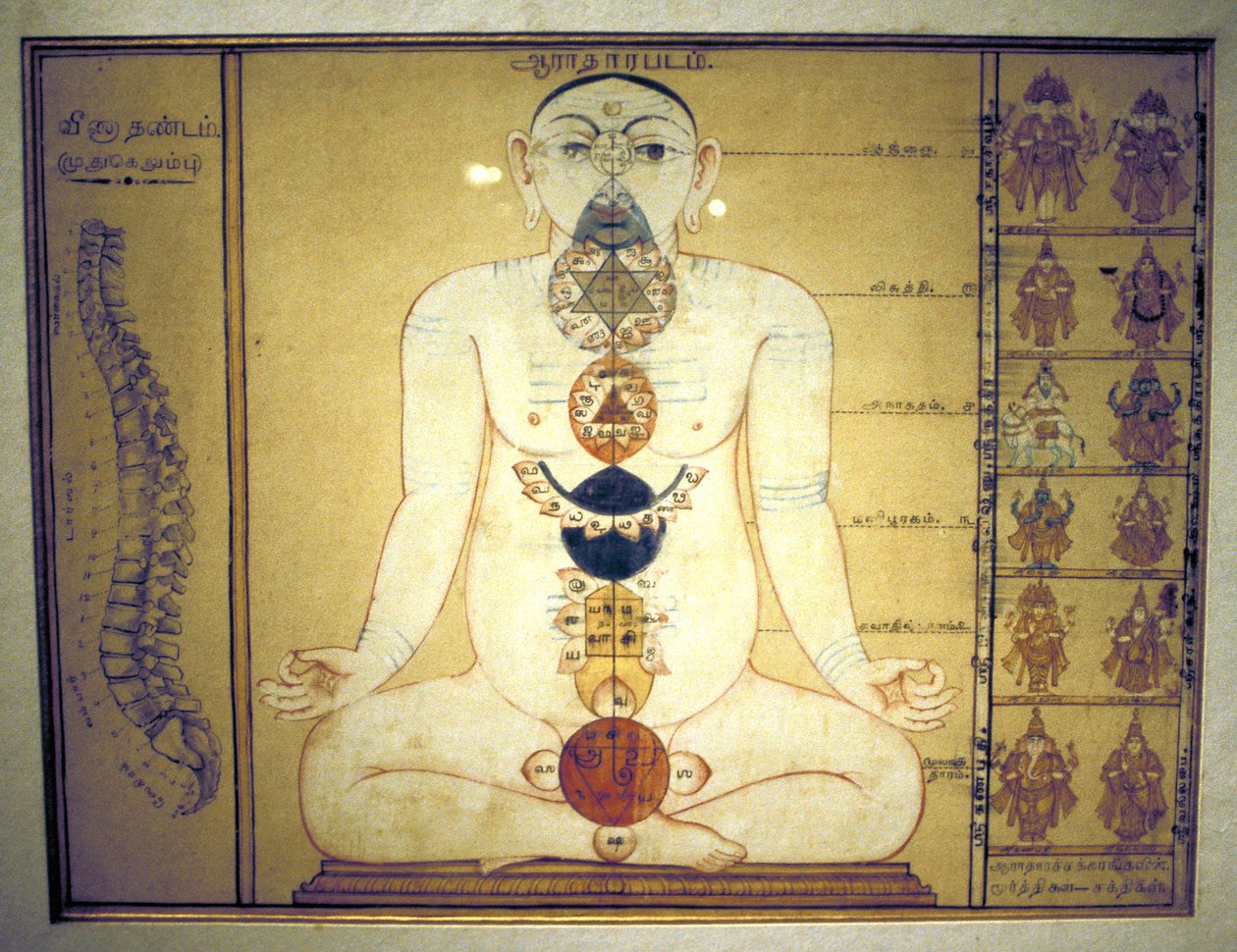 Six chakras représentant les plexus du corps humain, Tanjore, Tamil Nadu, c1850 - Unbekannt