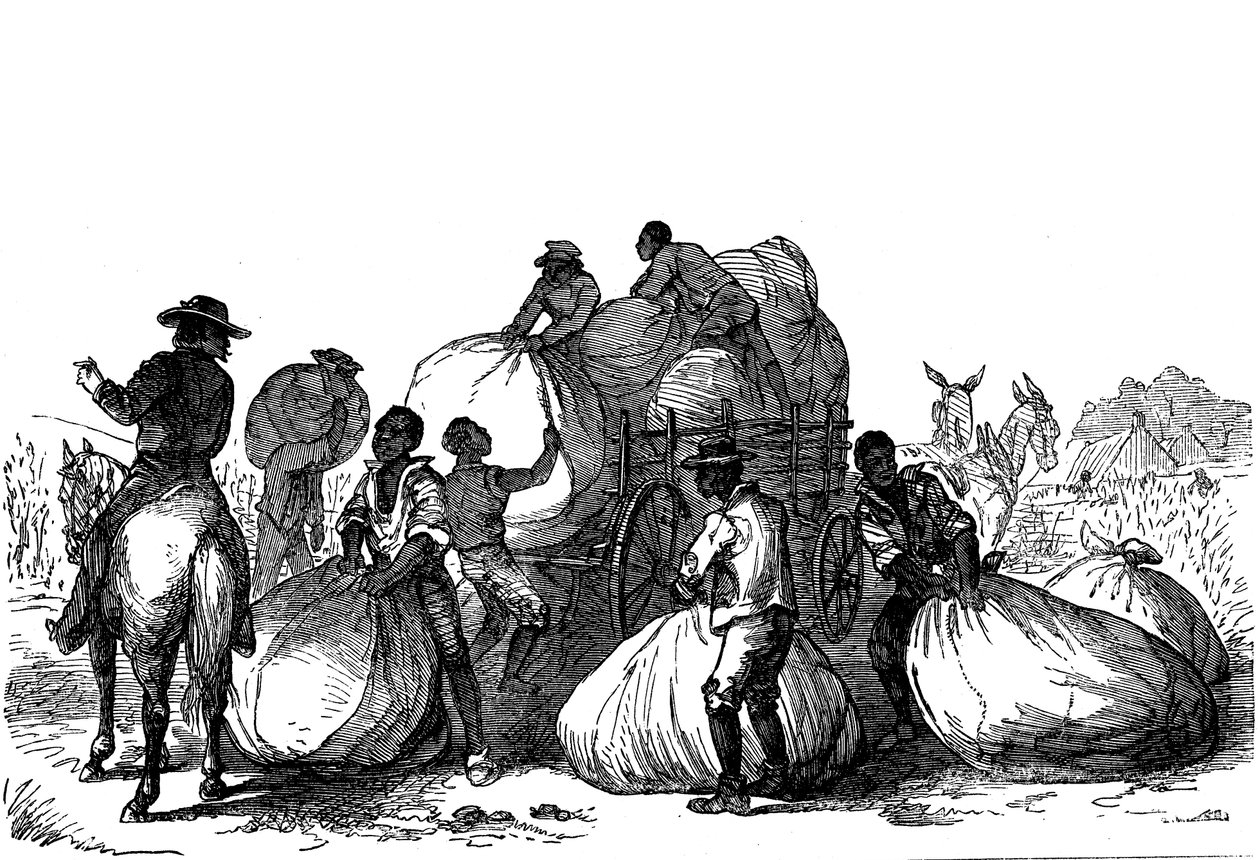 Travail forcé chargeant des sacs de coton sur une charrette, États du sud des États-Unis - Unbekannt