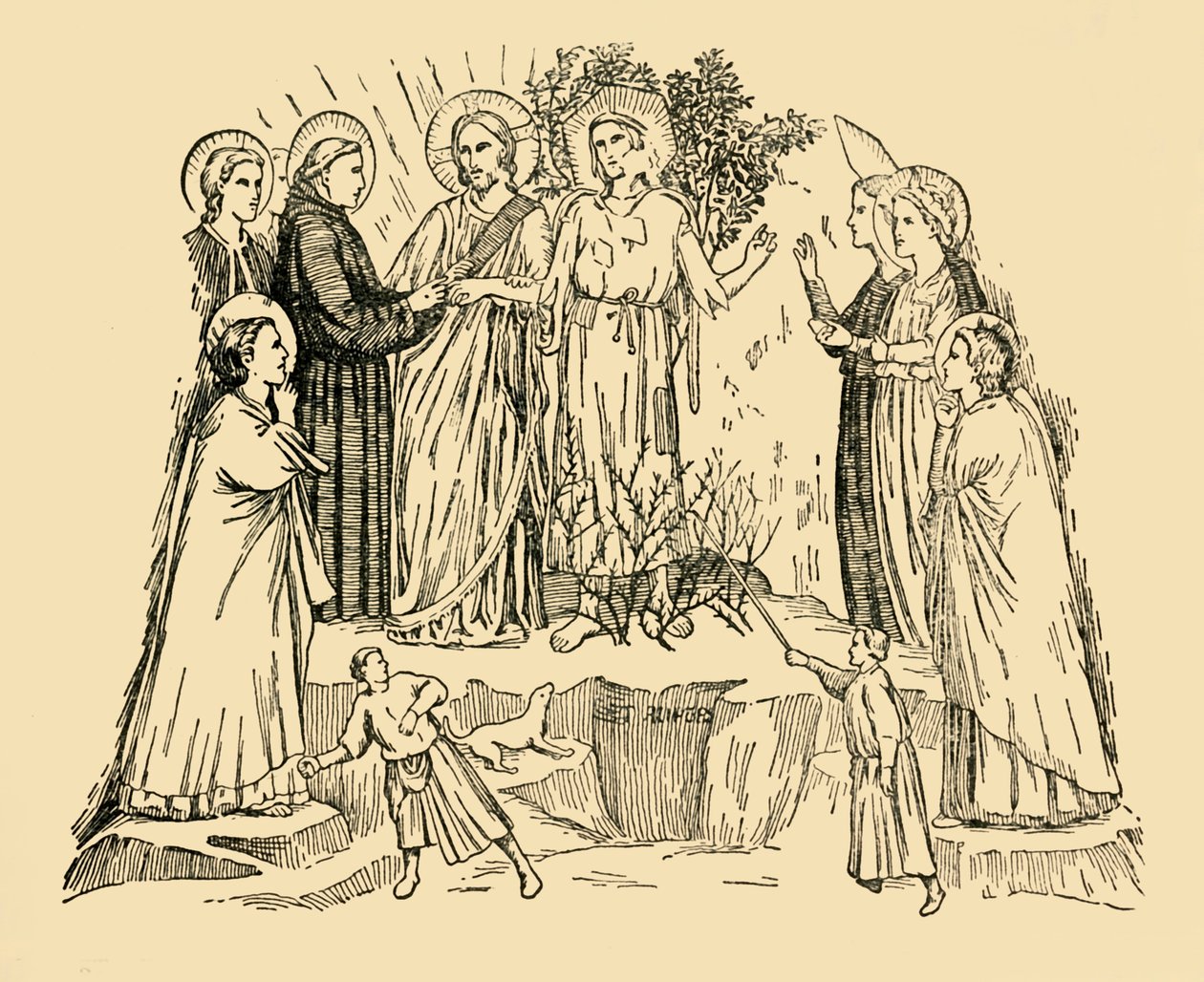 Saint François d