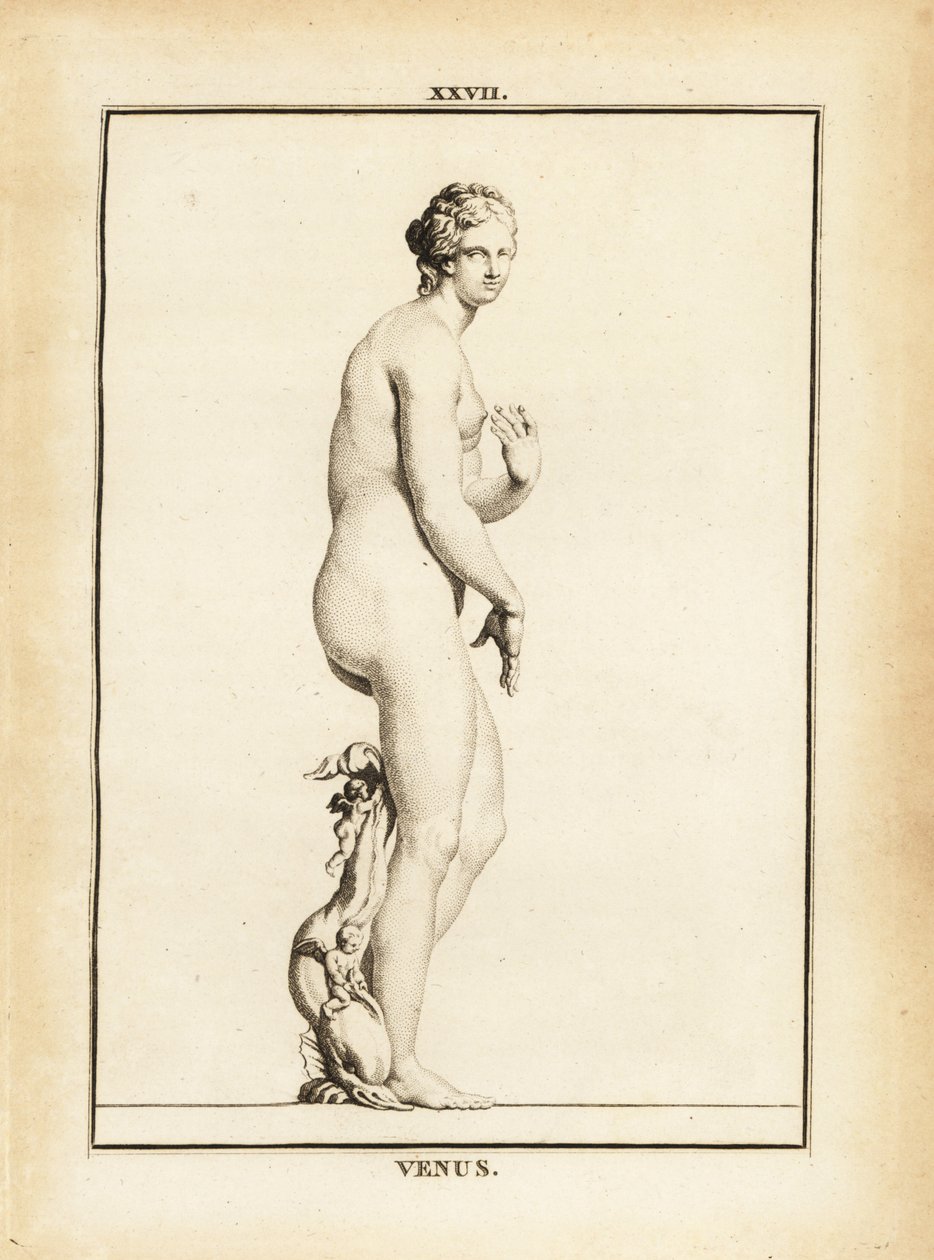 Statue de Vénus, déesse romaine de l