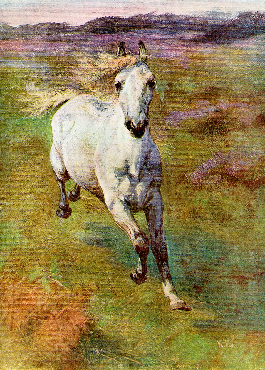 Étude d