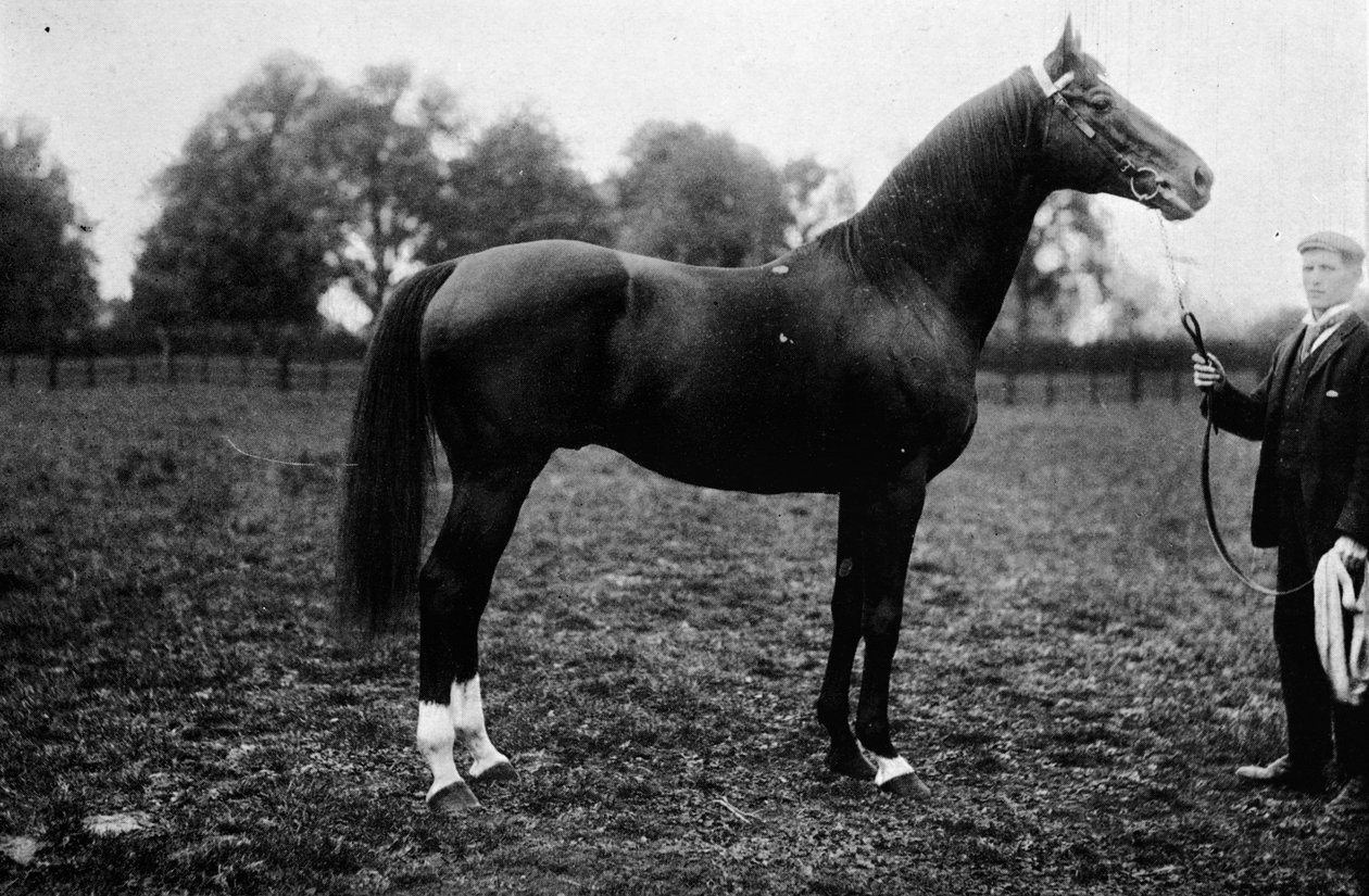 Surefoot, 1911 - Unbekannt