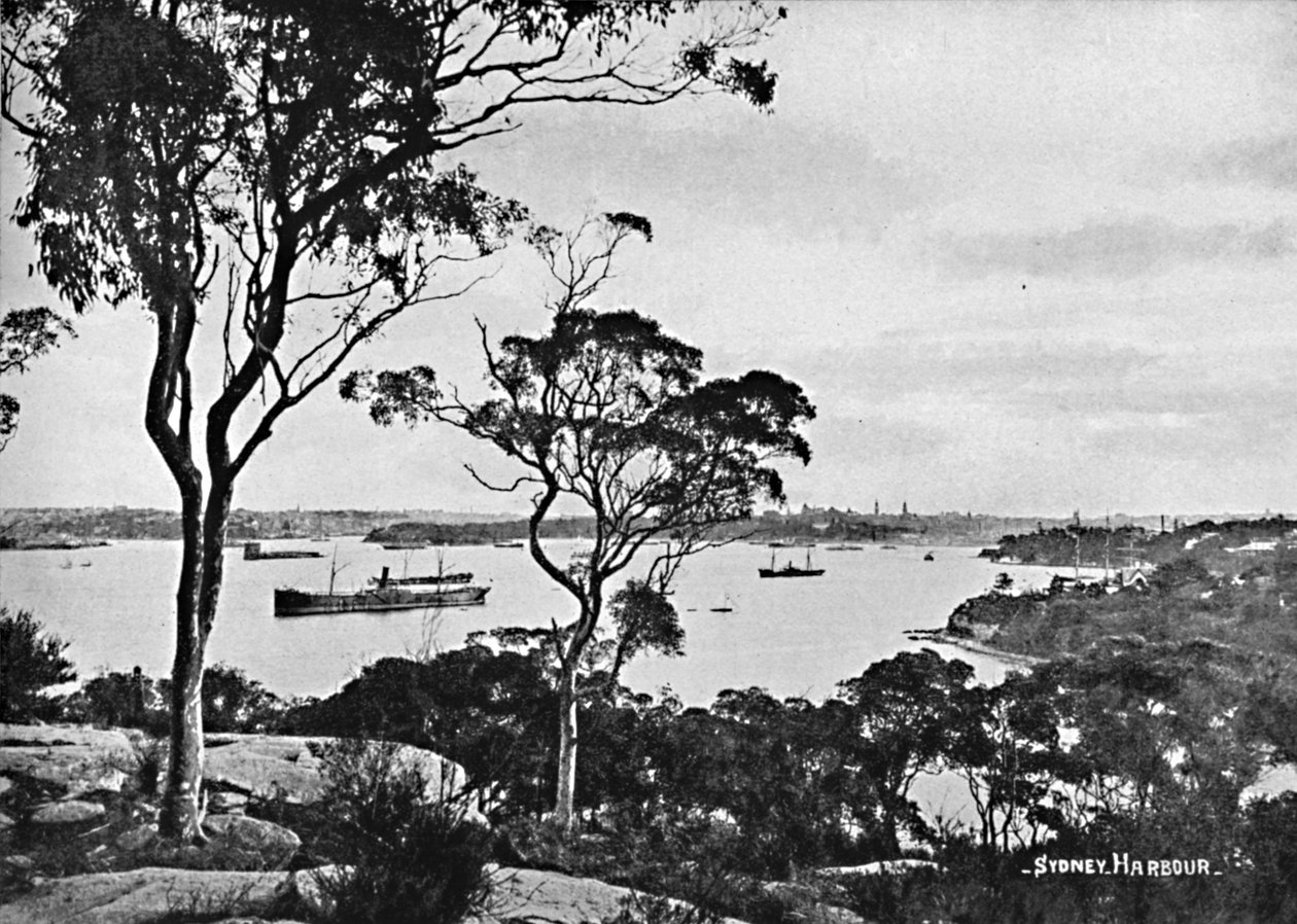 Port de Sydney, depuis Cremorne Point, vers 1900 - Unbekannt