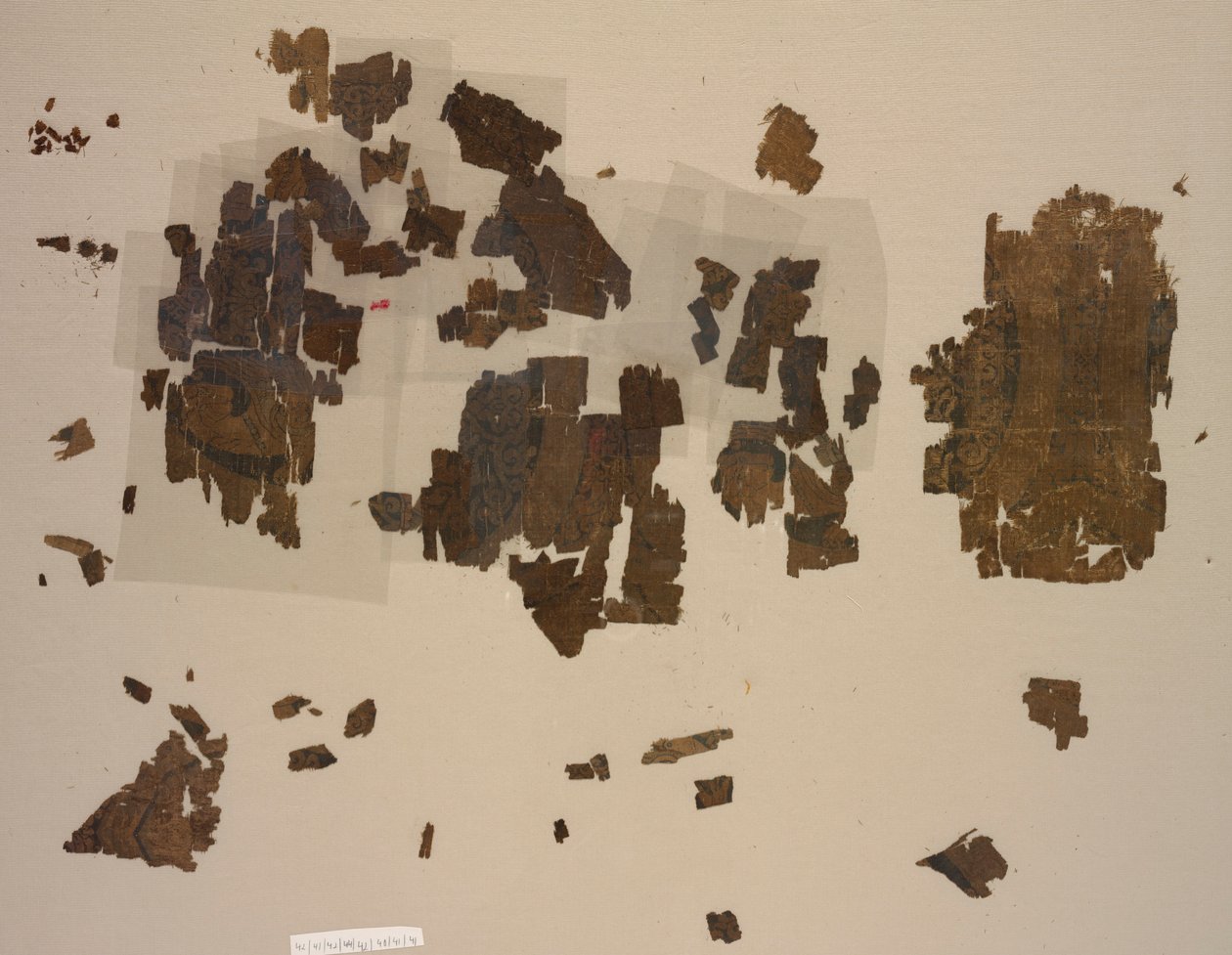 Fragments de taqueté avec lions ailés dans des médaillons, 899-1160 - Unbekannt