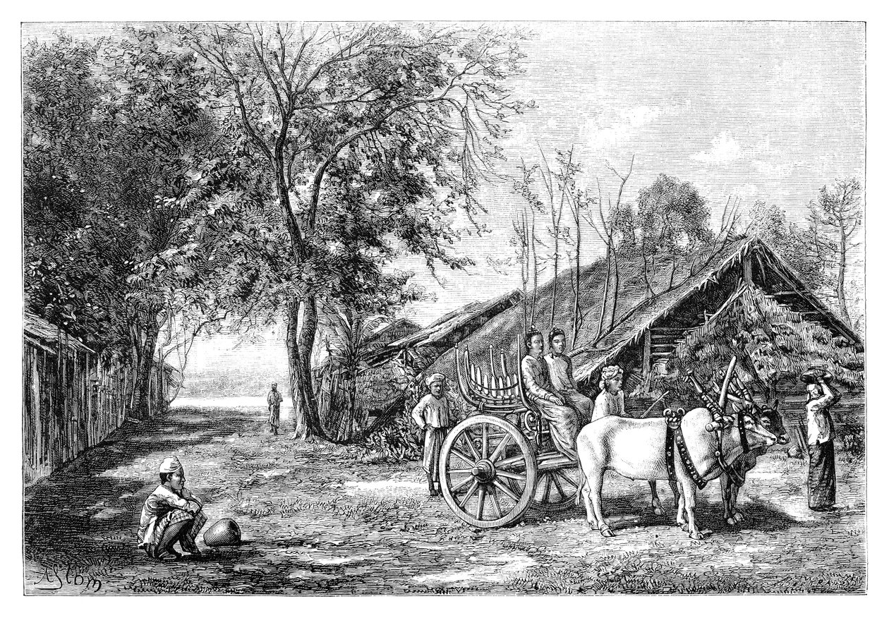 Tenasserim, Myanmar, 1895 - Unbekannt