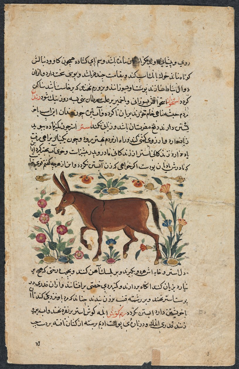 Page de texte, prose persane recto, Khar Ass verso, 1400s - Unbekannt