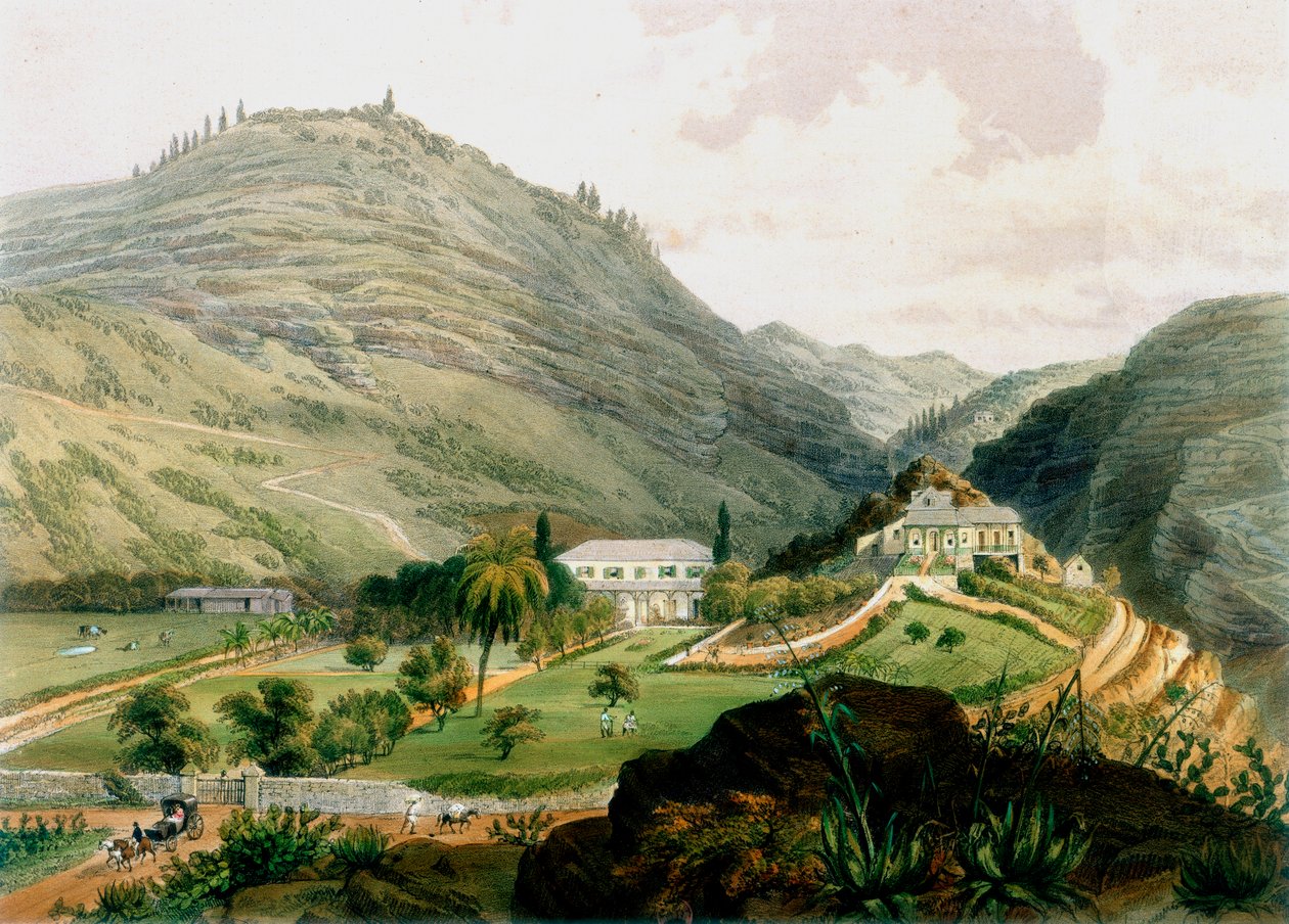 Les Briars, Sainte-Hélène, début du 19ème siècle 1851 - Unbekannt