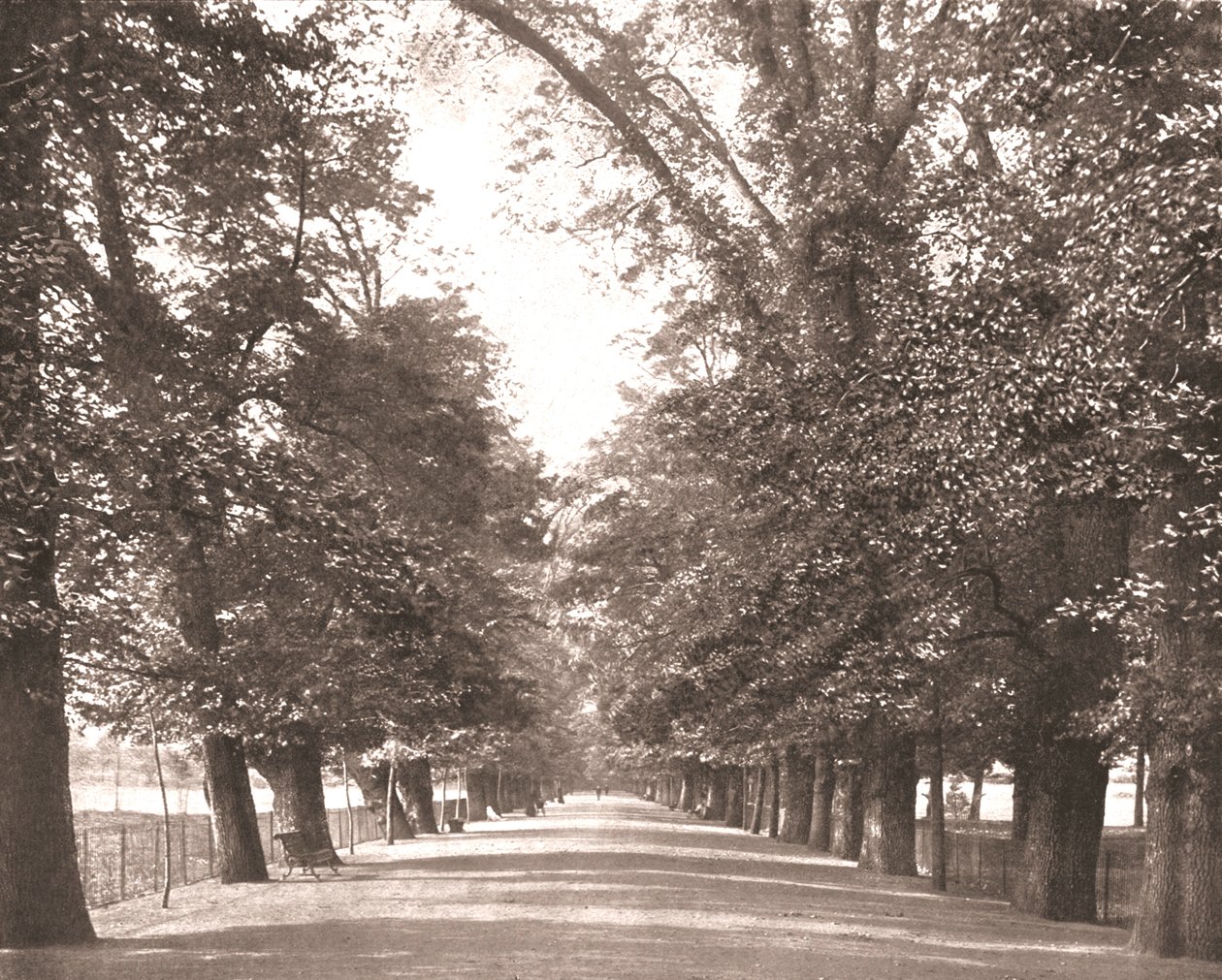 La Promenade Large, Oxford, 1894 - Unbekannt