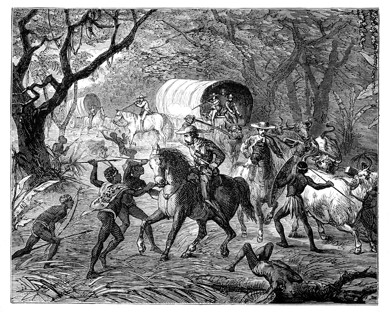 La guerre des Cafres : Les indigènes attaquent un convoi, 19ème siècle - Unbekannt