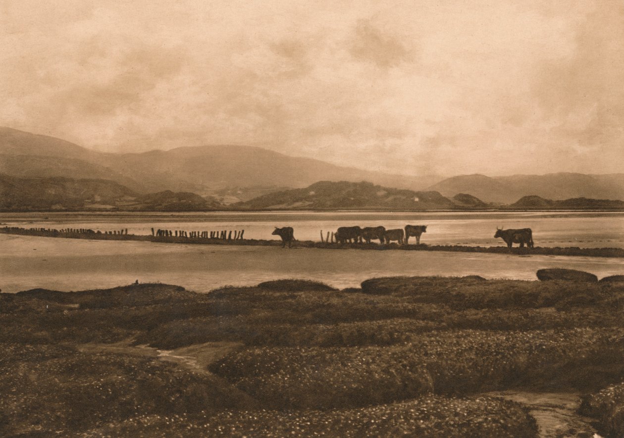 Le Dovey à Ynyslas, 1902 - Unbekannt