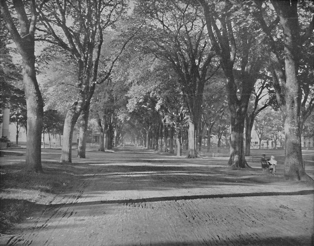 Les Ormes, New Haven, Conn., vers 1897 - Unbekannt