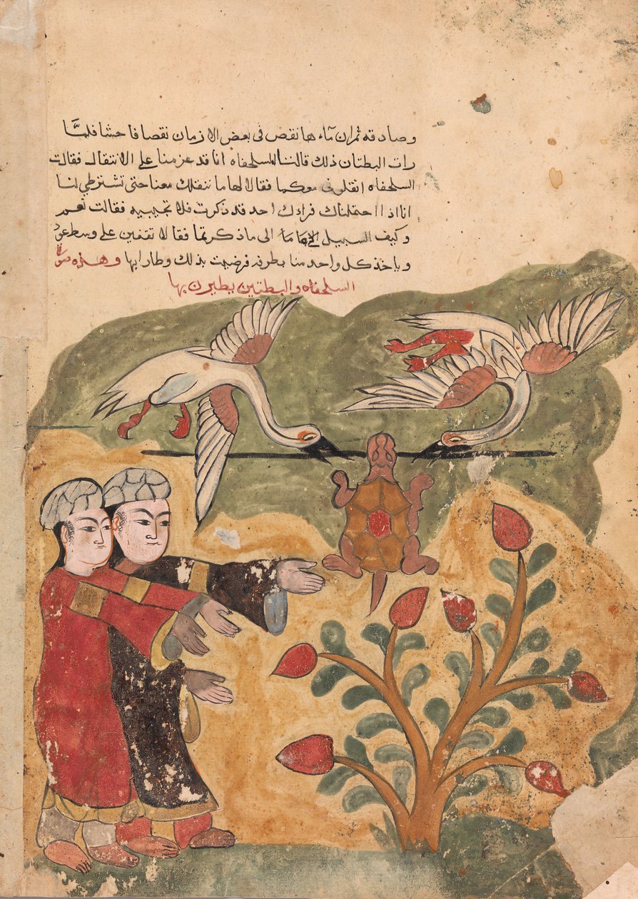 La Fuite de la tortue, Folio d