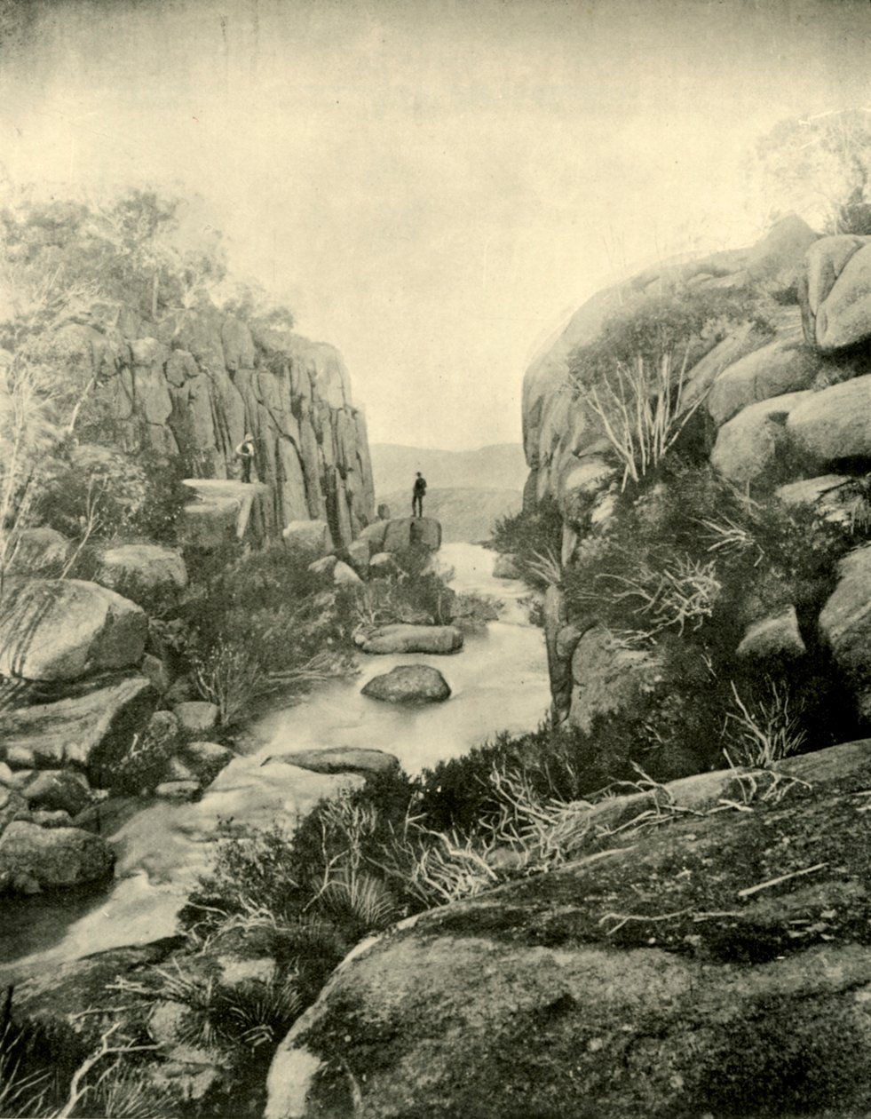 La Gorge, Chutes de Buffalo, Alpes victoriennes, 1901 - Unbekannt