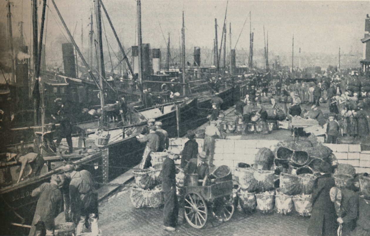 La saison du hareng bat son plein, 1937 - Unbekannt