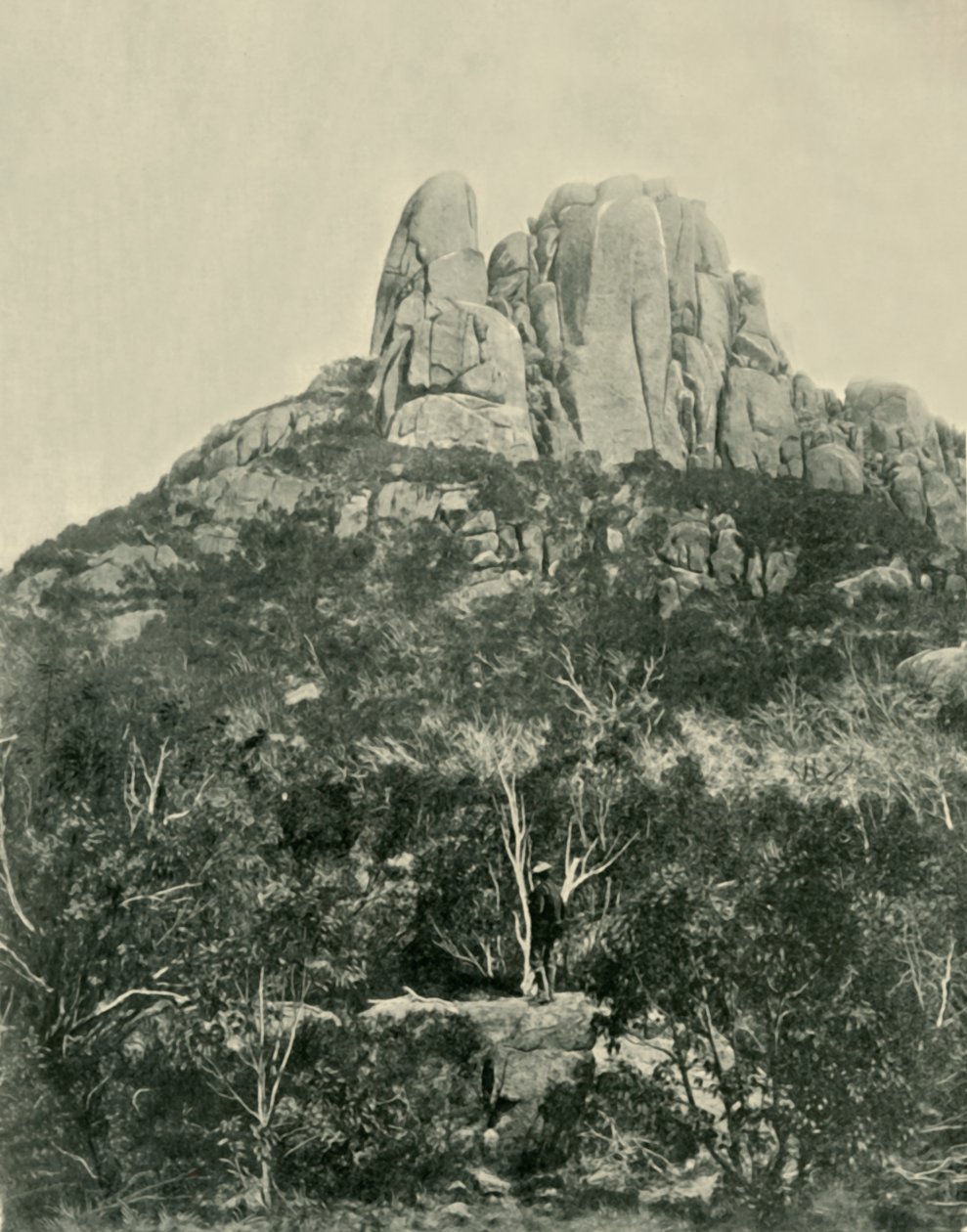 La Bosse, Montagnes Buffalo, 1901 - Unbekannt