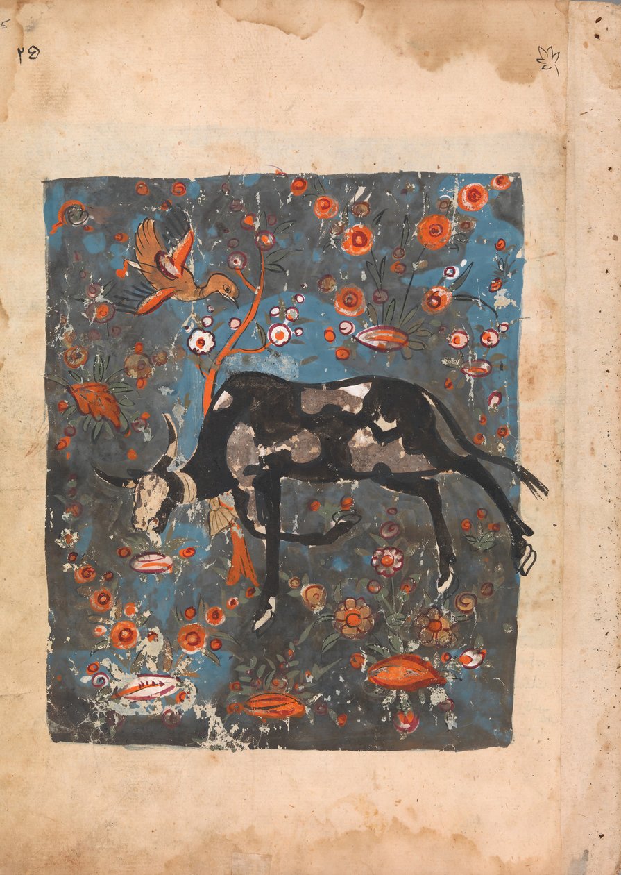Le bœuf Shanzabeh laissé derrière, broutant dans le territoire du roi lion, 18e siècle - Unbekannt