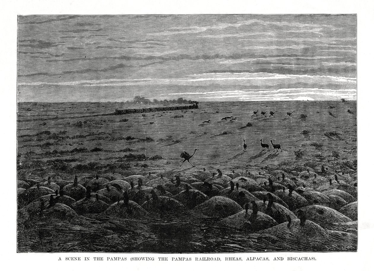 Le chemin de fer des Pampas, basses terres d