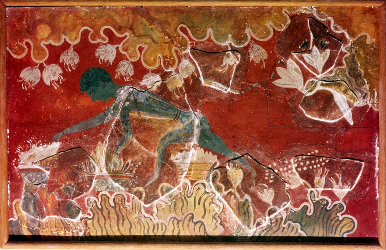 La Fresque du Cueilleur de Safran du Palais Royal Minoen, Knossos, Crète, vers 15e siècle av. J.-C. - Unbekannt