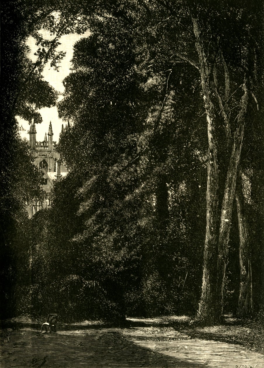 La Tour de Merton, depuis le Jardin, 1898 - Unbekannt