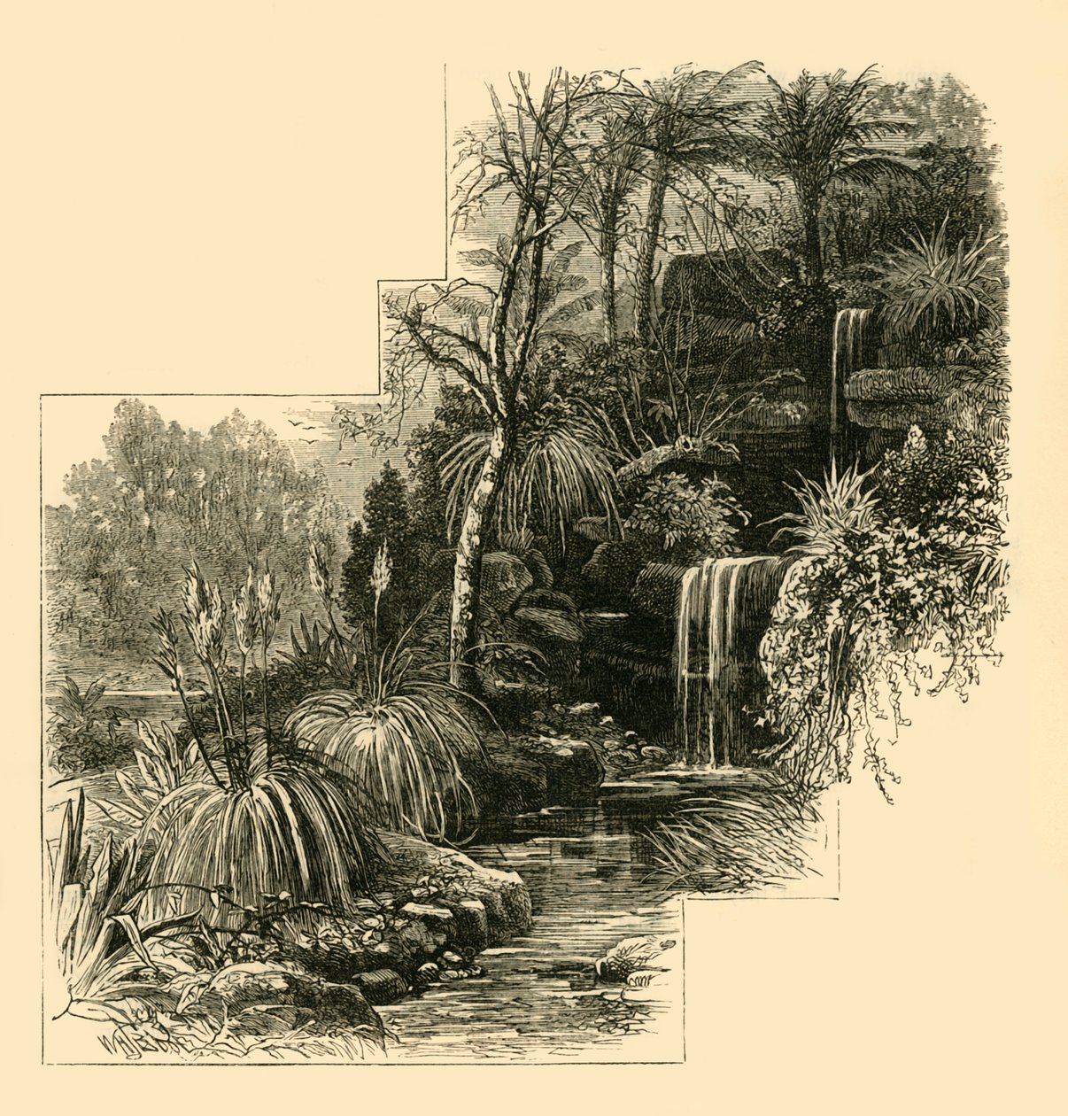 Les Jardins Tropicaux, Battersea Park, vers 1878 - Unbekannt