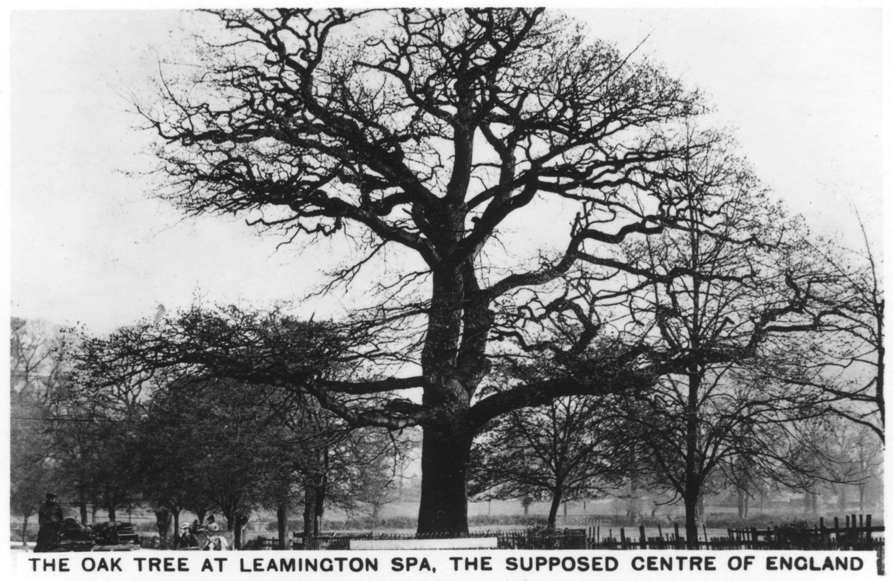 Le chêne à Leamington Spa, supposé centre de l
