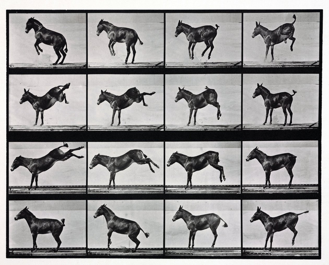 Photographies en accéléré d