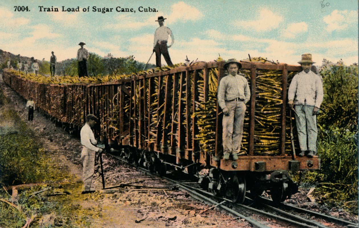 Train de cannes à sucre quittant le champ, Cuba, 1915 - Unbekannt