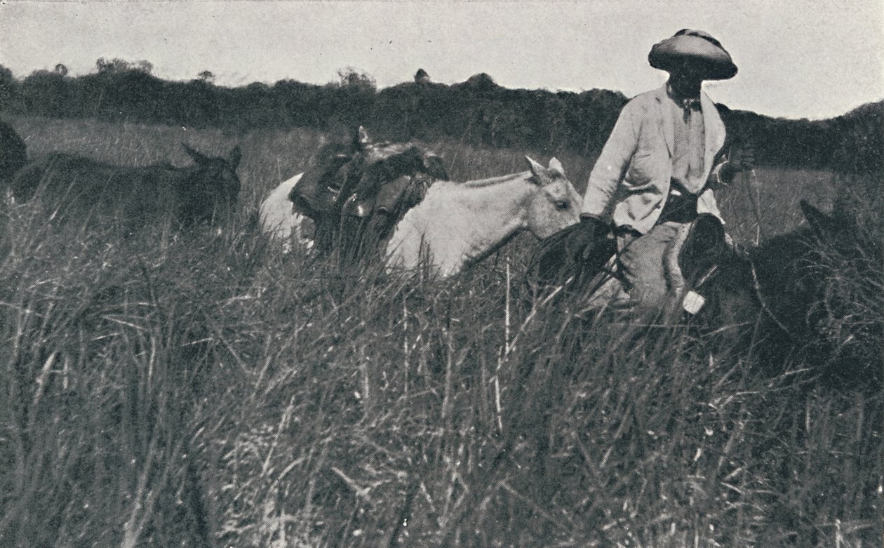 Voyage sur les Pampas, 1916 - Unbekannt
