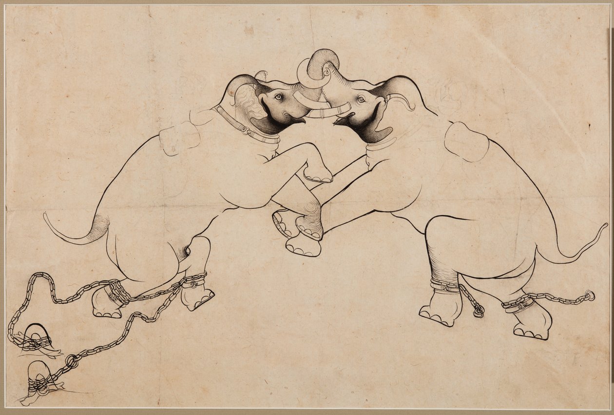 Deux éléphants en combat, début des années 1700 - Unbekannt